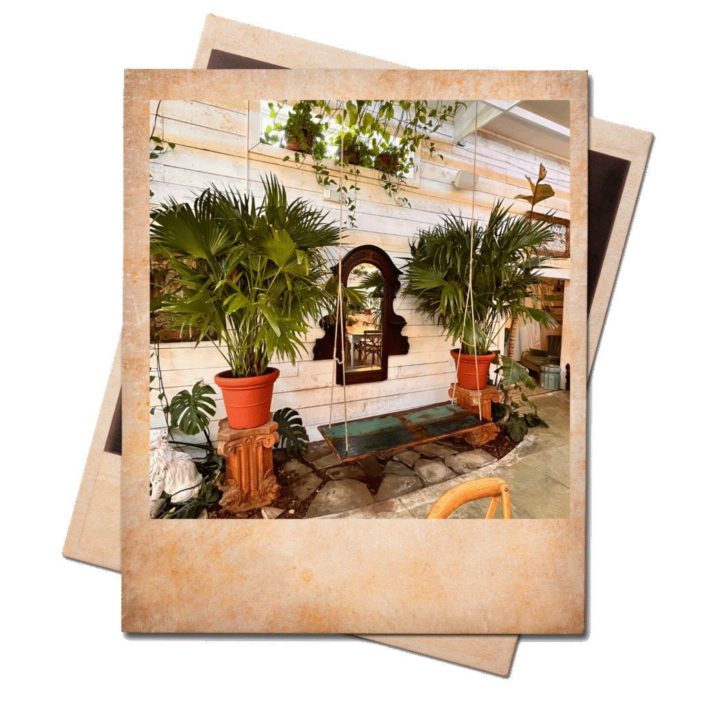 Carolina Home and Garden Newport NC plants and venue.