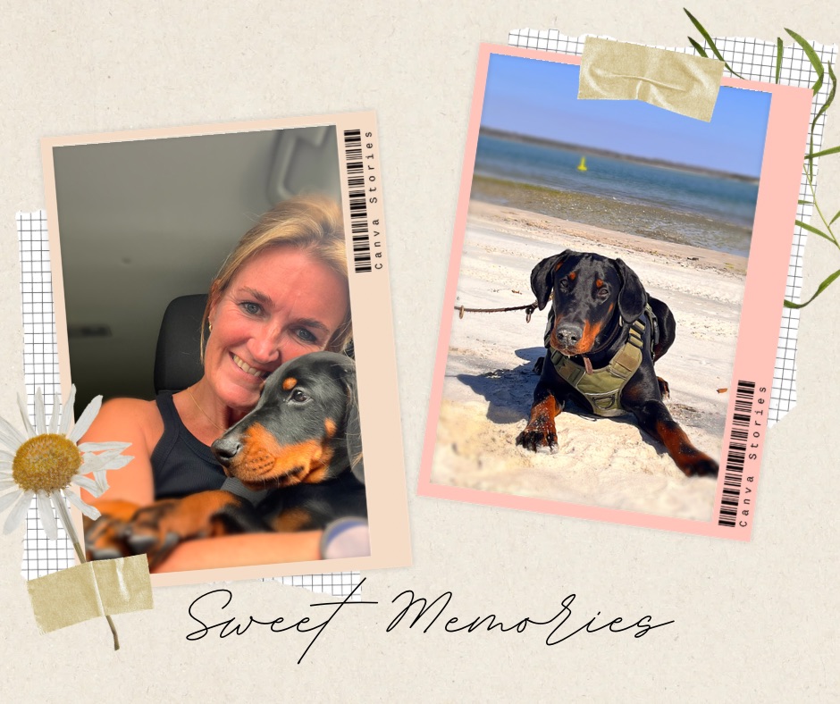 "Enjoy live with my puppy Bodhi in the US, even while missing Dutch friends back home"